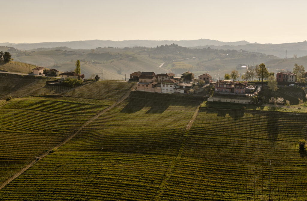 Cambiamento climatico