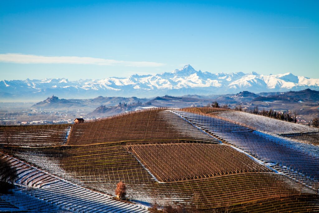 Langhe in inverno